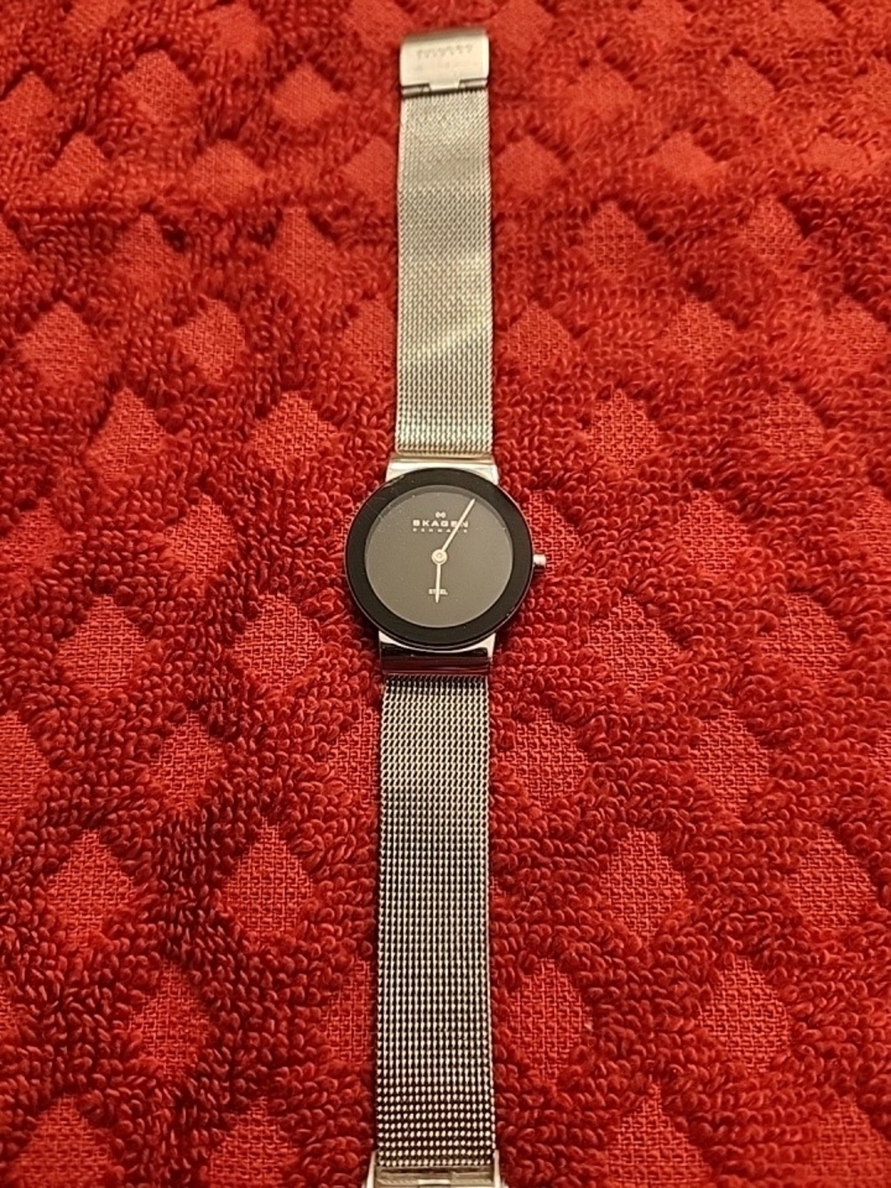 Skagen Silver Mesh Band Black Dial Men’s Watch 0165